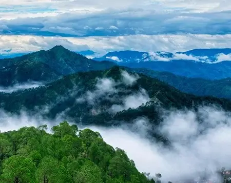 DANDELI